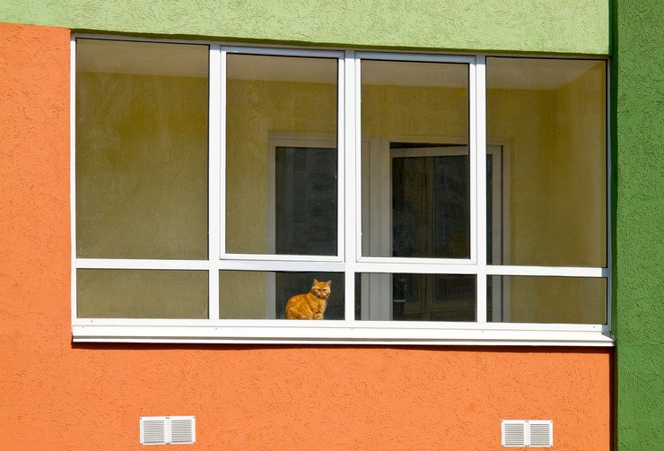 Рыжий кот в окне застекленной лоджии