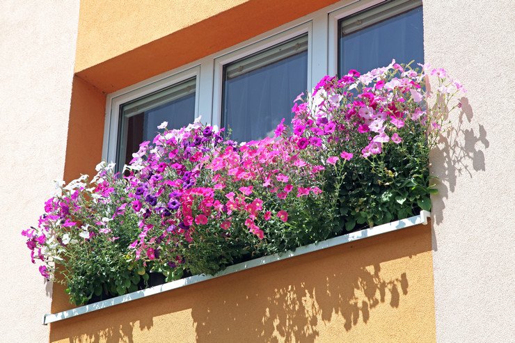 Застекленный балконный блок в многоэтажном доме, цветы, вид снаружи