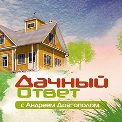 Дачный ответ